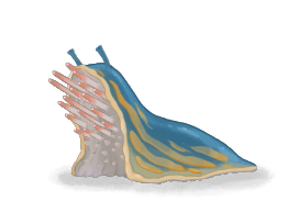 屍ナメクジ