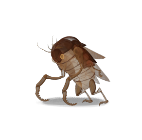 Exoskelette