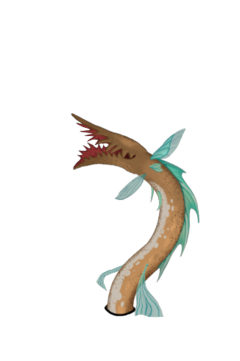 テラーウツボ