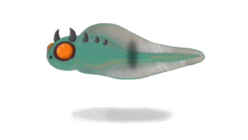 カニグモ