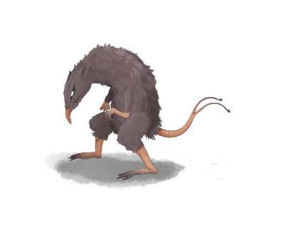Rats à Deux Queues