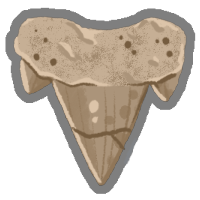 Archaic Tooth