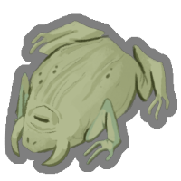 Crapaud pétrifié
